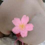 ヒメ日記 2025/08/14 07:02 投稿 桜川【さくらがわ】 丸妻 西船橋店