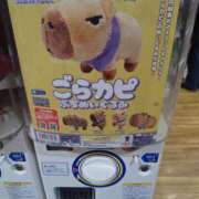 ヒメ日記 2025/08/19 18:53 投稿 桜川【さくらがわ】 丸妻 西船橋店