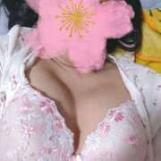 ヒメ日記 2025/09/04 02:15 投稿 桜川【さくらがわ】 丸妻 西船橋店