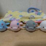 ヒメ日記 2025/09/09 22:14 投稿 桜川【さくらがわ】 丸妻 西船橋店