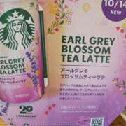 ヒメ日記 2025/10/17 14:44 投稿 桜川【さくらがわ】 丸妻 西船橋店