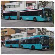 ヒメ日記 2025/10/29 15:58 投稿 桜川【さくらがわ】 丸妻 西船橋店