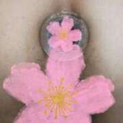 ヒメ日記 2025/11/09 07:20 投稿 桜川【さくらがわ】 丸妻 西船橋店