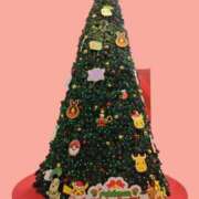 ヒメ日記 2025/11/10 02:21 投稿 桜川【さくらがわ】 丸妻 西船橋店