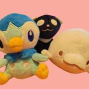 ヒメ日記 2025/11/11 06:17 投稿 桜川【さくらがわ】 丸妻 西船橋店