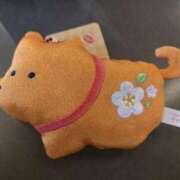 ヒメ日記 2025/11/15 17:52 投稿 桜川【さくらがわ】 丸妻 西船橋店