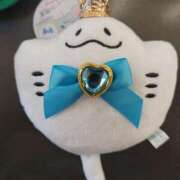 ヒメ日記 2025/11/15 22:31 投稿 桜川【さくらがわ】 丸妻 西船橋店