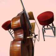 ヒメ日記 2025/11/16 21:16 投稿 桜川【さくらがわ】 丸妻 西船橋店