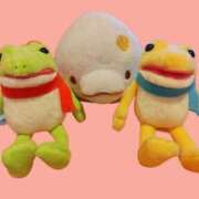 ヒメ日記 2025/11/22 23:11 投稿 桜川【さくらがわ】 丸妻 西船橋店