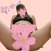 ヒメ日記 2025/11/27 11:15 投稿 桜川【さくらがわ】 丸妻 西船橋店