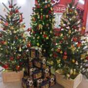 ヒメ日記 2025/11/27 22:31 投稿 桜川【さくらがわ】 丸妻 西船橋店