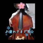 ヒメ日記 2025/11/30 23:04 投稿 桜川【さくらがわ】 丸妻 西船橋店