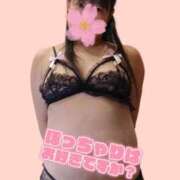 ヒメ日記 2025/12/04 06:48 投稿 桜川【さくらがわ】 丸妻 西船橋店