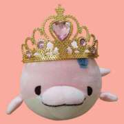 ヒメ日記 2025/12/09 08:31 投稿 桜川【さくらがわ】 丸妻 西船橋店