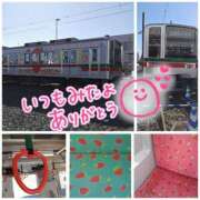 ヒメ日記 2025/12/09 20:08 投稿 桜川【さくらがわ】 丸妻 西船橋店