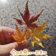 ヒメ日記 2025/12/14 08:04 投稿 桜川【さくらがわ】 丸妻 西船橋店