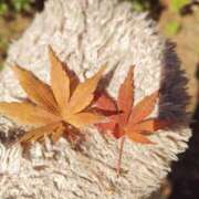 ヒメ日記 2025/12/15 09:21 投稿 桜川【さくらがわ】 丸妻 西船橋店