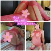 ヒメ日記 2025/12/16 13:38 投稿 桜川【さくらがわ】 丸妻 西船橋店