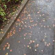 ヒメ日記 2025/12/22 08:18 投稿 桜川【さくらがわ】 丸妻 西船橋店