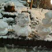 ヒメ日記 2026/01/02 20:55 投稿 桜川【さくらがわ】 丸妻 西船橋店