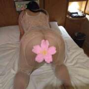 ヒメ日記 2026/01/03 07:23 投稿 桜川【さくらがわ】 丸妻 西船橋店