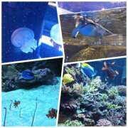 ヒメ日記 2026/01/05 17:48 投稿 桜川【さくらがわ】 丸妻 西船橋店