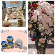 ヒメ日記 2026/01/15 18:29 投稿 桜川【さくらがわ】 丸妻 西船橋店