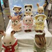 ヒメ日記 2026/01/16 08:15 投稿 桜川【さくらがわ】 丸妻 西船橋店