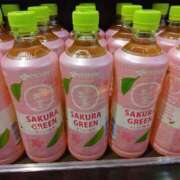 ヒメ日記 2026/01/19 19:44 投稿 桜川【さくらがわ】 丸妻 西船橋店