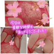 ヒメ日記 2026/01/20 19:10 投稿 桜川【さくらがわ】 丸妻 西船橋店