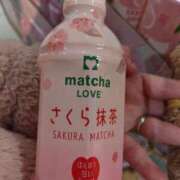 ヒメ日記 2026/01/21 04:22 投稿 桜川【さくらがわ】 丸妻 西船橋店