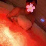 ヒメ日記 2026/01/29 01:05 投稿 桜川【さくらがわ】 丸妻 西船橋店