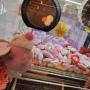 ヒメ日記 2026/01/30 15:31 投稿 桜川【さくらがわ】 丸妻 西船橋店