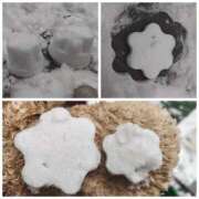 ヒメ日記 2026/02/08 11:16 投稿 桜川【さくらがわ】 丸妻 西船橋店