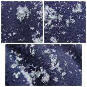 ヒメ日記 2026/02/08 11:26 投稿 桜川【さくらがわ】 丸妻 西船橋店