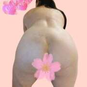 ヒメ日記 2026/02/13 01:27 投稿 桜川【さくらがわ】 丸妻 西船橋店