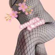 ヒメ日記 2026/02/16 07:37 投稿 桜川【さくらがわ】 丸妻 西船橋店