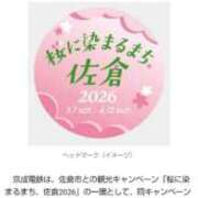 ヒメ日記 2026/02/20 11:50 投稿 桜川【さくらがわ】 丸妻 西船橋店
