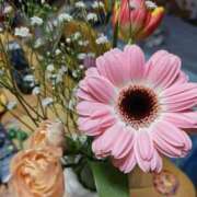 ヒメ日記 2026/02/23 10:33 投稿 桜川【さくらがわ】 丸妻 西船橋店