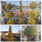 ヒメ日記 2026/02/24 09:54 投稿 桜川【さくらがわ】 丸妻 西船橋店