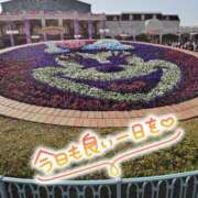 ヒメ日記 2026/02/24 10:06 投稿 桜川【さくらがわ】 丸妻 西船橋店