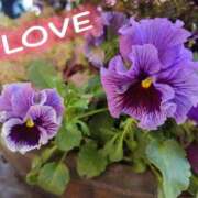 ヒメ日記 2026/02/24 10:43 投稿 桜川【さくらがわ】 丸妻 西船橋店