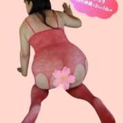 ヒメ日記 2026/02/25 06:23 投稿 桜川【さくらがわ】 丸妻 西船橋店