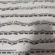 桜川【さくらがわ】 手が死ぬ〰️😵 丸妻 西船橋店