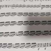 ヒメ日記 2026/03/01 18:48 投稿 桜川【さくらがわ】 丸妻 西船橋店