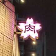 ヒメ日記 2026/03/11 21:51 投稿 桜川【さくらがわ】 丸妻 西船橋店