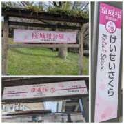 ヒメ日記 2026/03/22 21:38 投稿 桜川【さくらがわ】 丸妻 西船橋店