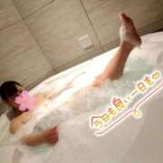 ヒメ日記 2026/03/24 06:24 投稿 桜川【さくらがわ】 丸妻 西船橋店