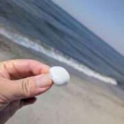 ヒメ日記 2026/03/24 17:38 投稿 桜川【さくらがわ】 丸妻 西船橋店