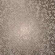 ヒメ日記 2026/03/27 22:42 投稿 桜川【さくらがわ】 丸妻 西船橋店